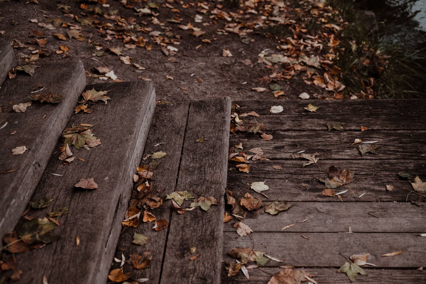 Escalier de bois extérieur à réparer, couvert de feuilles d'automne