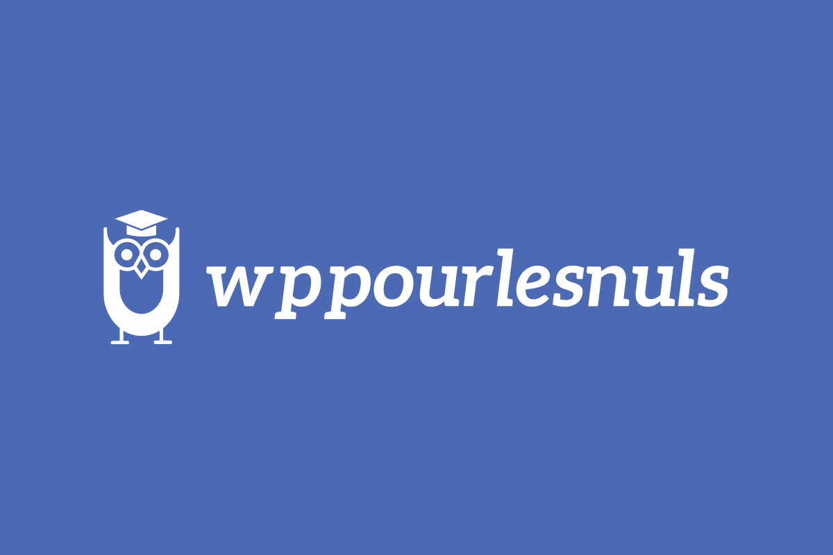 WP Pour les Nuls, site de ressources WordPress bâti par Effet Cumulatif